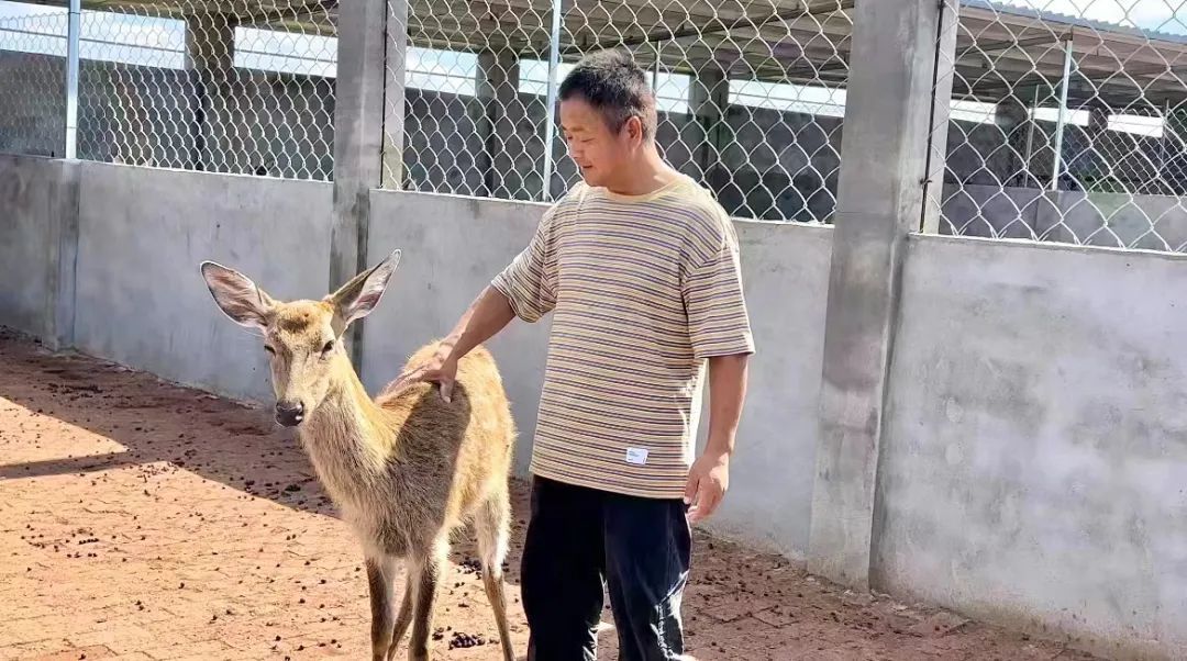 永利真人注册